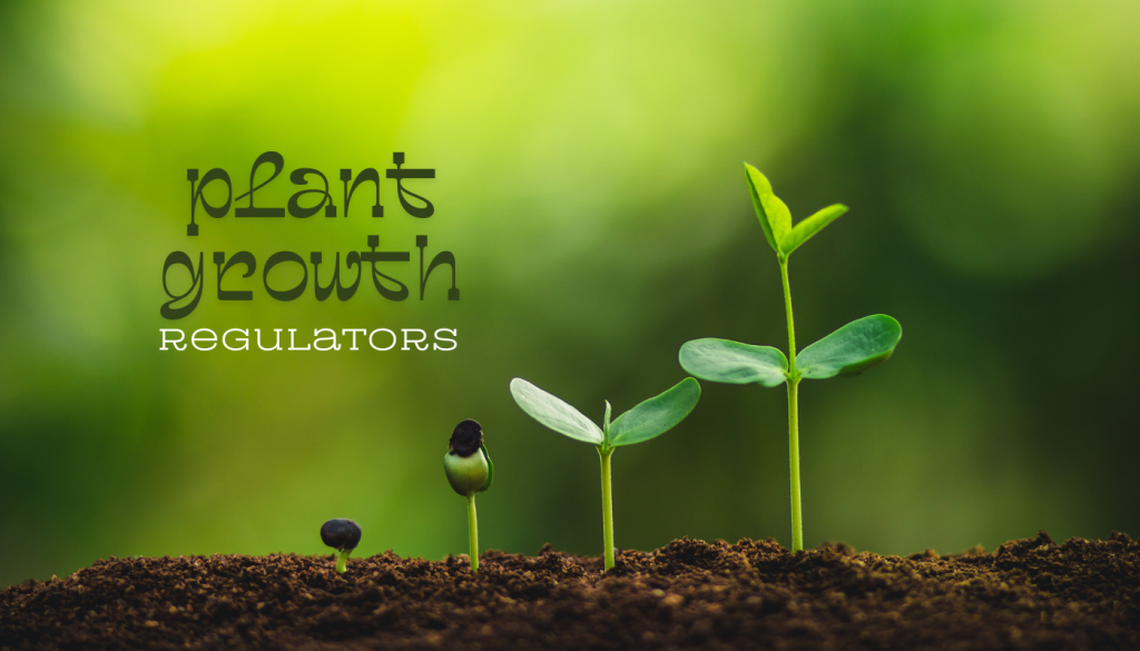 plant growth regulators