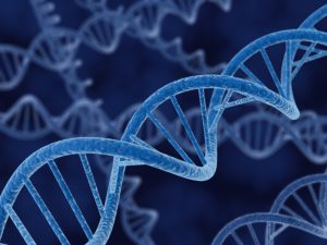 Personalized Healthcare Revolution