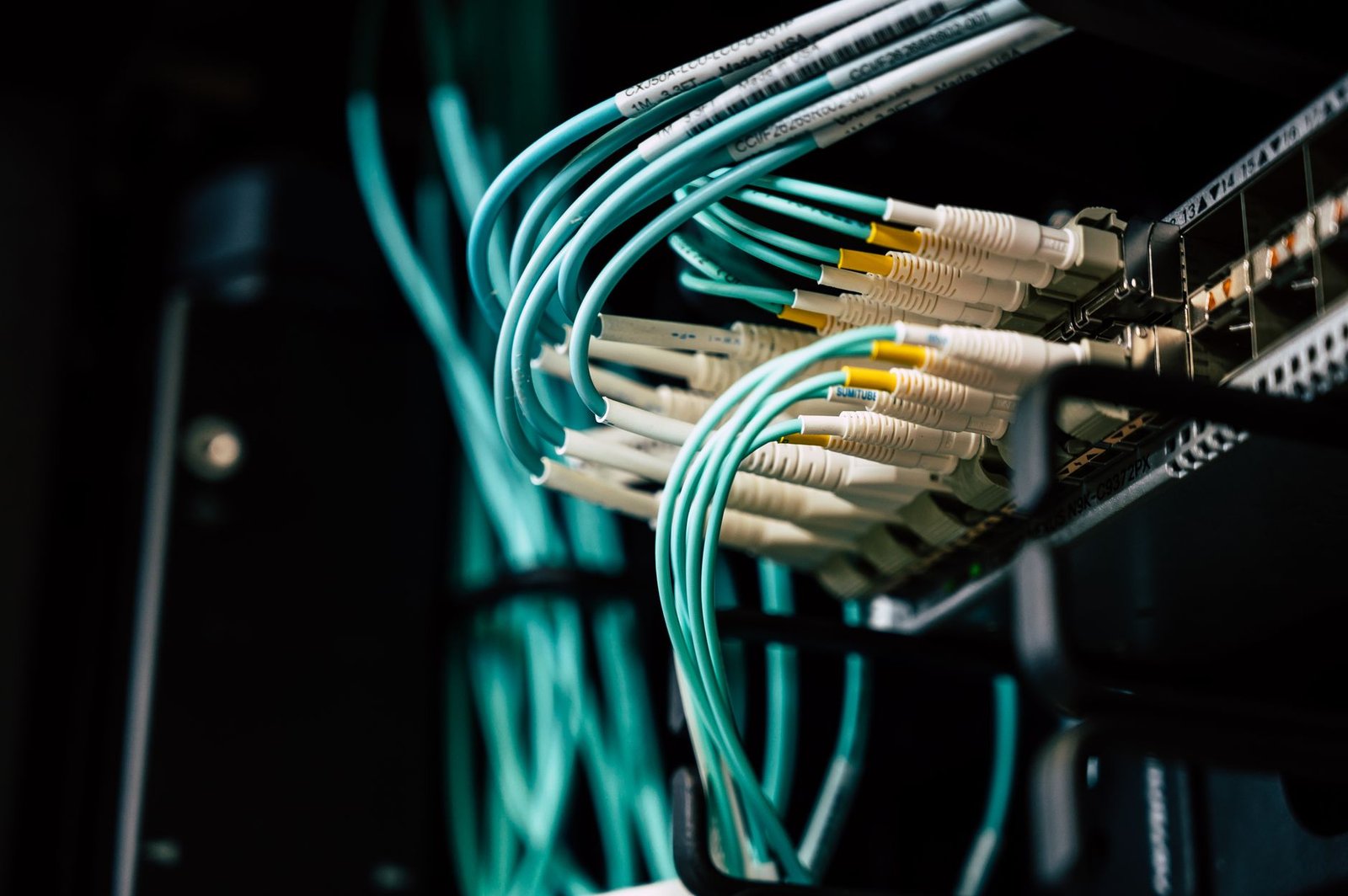 Close-up view of various network cables being plugged into a router.