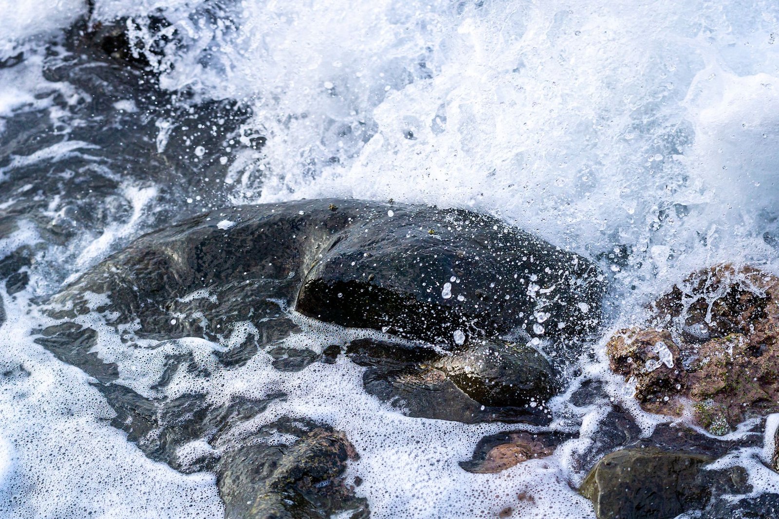 Rugged water resistant portable SSD sitting on a wet outdoor surface near camera gear.