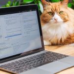 2026 Guide: Best 5 Lightweight Linux Distros for Old Laptops
